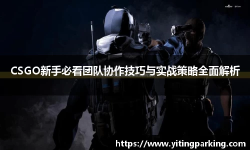 CSGO新手必看团队协作技巧与实战策略全面解析