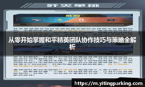 从零开始掌握和平精英团队协作技巧与策略全解析