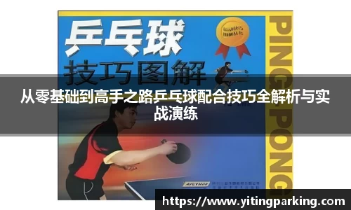 从零基础到高手之路乒乓球配合技巧全解析与实战演练