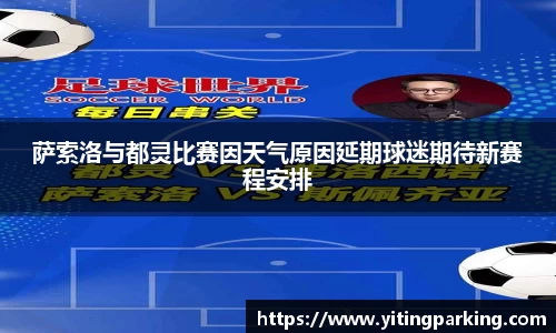 萨索洛与都灵比赛因天气原因延期球迷期待新赛程安排